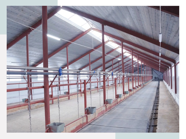 Строительство коровников в Узловой от 611 руб.