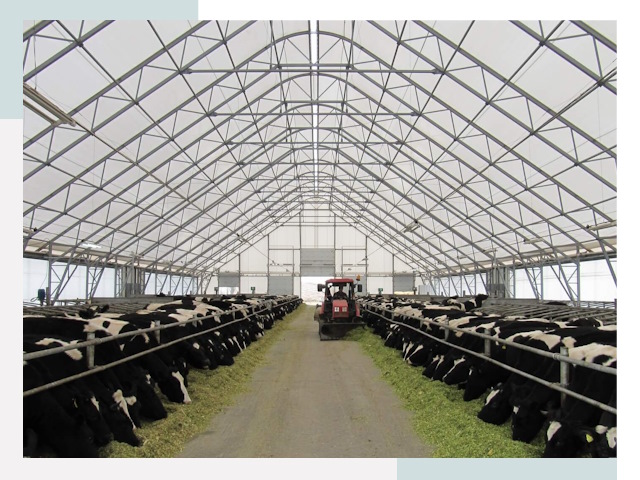 Тентовые коровники в Узловой от 611 руб. - Надежно и доступно